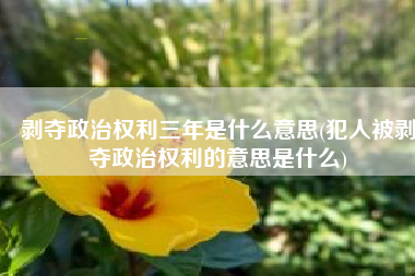 剥夺政治权利三年是什么意思(犯人被剥夺政治权利的意思是什么)