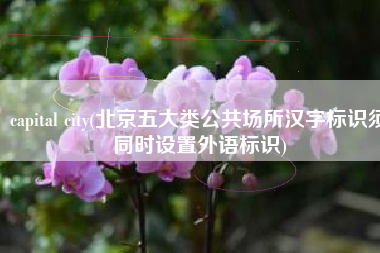 capital city(北京五大类公共场所汉字标识须同时设置外语标识)