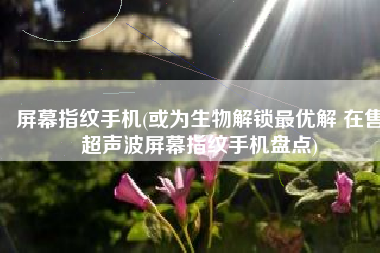 屏幕指纹手机(或为生物解锁最优解 在售超声波屏幕指纹手机盘点)
