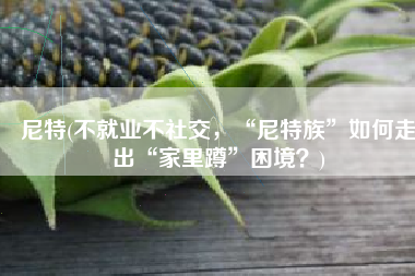 尼特(不就业不社交，“尼特族”如何走出“家里蹲”困境？)