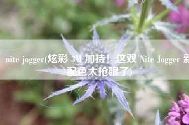 nite jogger(炫彩 3M 加持！这双 Nite Jogger 新配色太抢眼了)