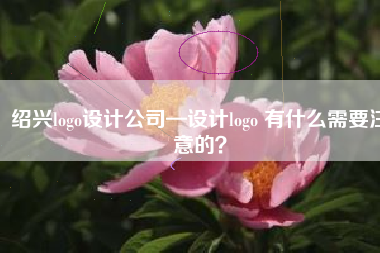 绍兴logo设计公司—设计logo 有什么需要注意的？