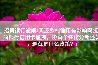 招商银行逾期4天还款对信用有影响吗(招商银行信用卡逾期，协商个性化分期还款，现在是什么政策？)