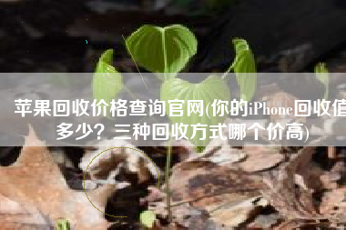 苹果回收价格查询官网(你的iPhone回收值多少？三种回收方式哪个价高)