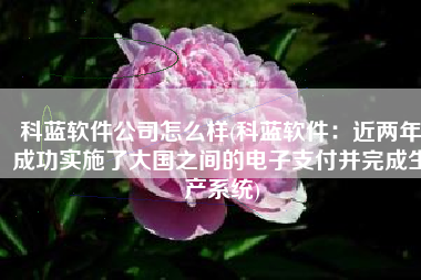 科蓝软件公司怎么样(科蓝软件：近两年成功实施了大国之间的电子支付并完成生产系统)