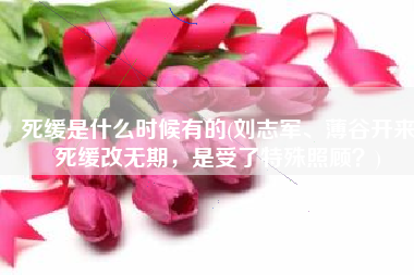 死缓是什么时候有的(刘志军、薄谷开来死缓改无期，是受了特殊照顾？)