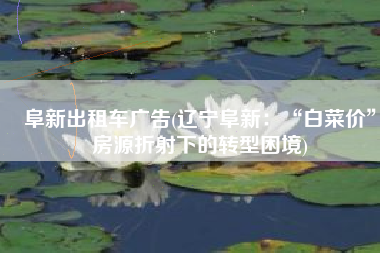 阜新出租车广告(辽宁阜新：“白菜价”房源折射下的转型困境)