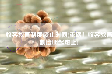 收容教育制度废止时间(重磅！收容教育制度明起废止)