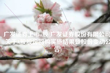 广发证券上市a股(广发证券股份有限公司 关于A股股份回购实施结果暨股份变动公告)