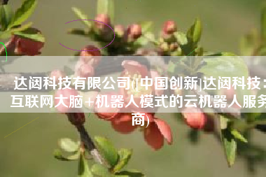 达闼科技有限公司([中国创新]达闼科技：互联网大脑+机器人模式的云机器人服务商)