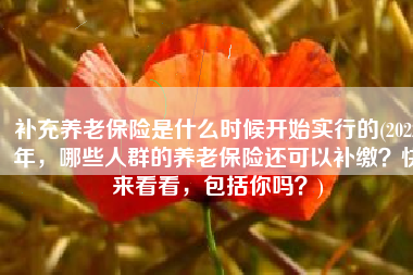 补充养老保险是什么时候开始实行的(2022年，哪些人群的养老保险还可以补缴？快来看看，包括你吗？)
