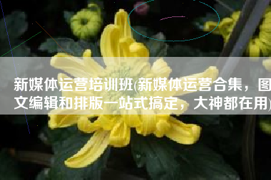 新媒体运营培训班(新媒体运营合集，图文编辑和排版一站式搞定，大神都在用)