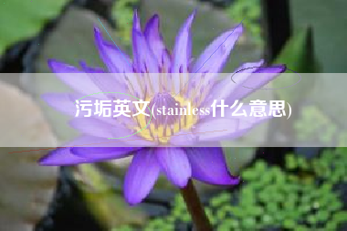 污垢英文(stainless什么意思)