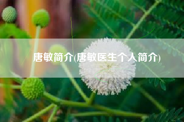 唐敏简介(唐敏医生个人简介)