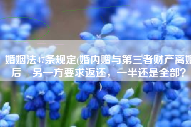 婚姻法47条规定(婚内赠与第三者财产离婚后​另一方要求返还，一半还是全部？​)