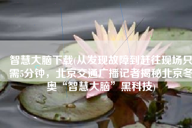 智慧大脑下载(从发现故障到赶往现场只需5分钟，北京交通广播记者揭秘北京冬奥“智慧大脑”黑科技)