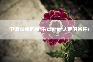 申请高新的条件(高新新认定的条件)