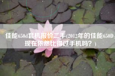 佳能650d套机报价二手(2012年的佳能650D，现在依然比得过手机吗？)