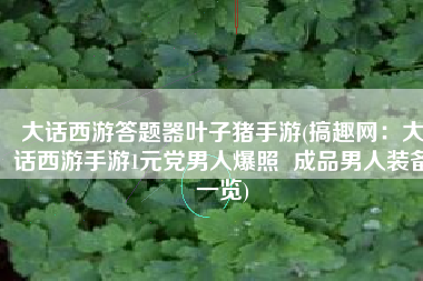 大话西游答题器叶子猪手游(搞趣网：大话西游手游1元党男人爆照  成品男人装备一览)