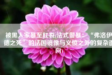 被黑人家暴至肛裂(法式警暴：“弗洛伊德之死”的法国镜像与义愤之外的复杂面向)