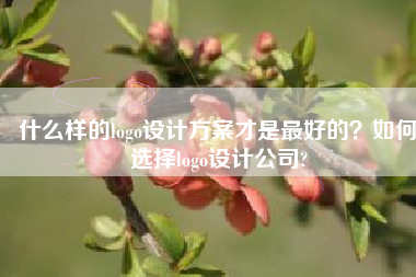什么样的logo设计方案才是最好的？如何选择logo设计公司?