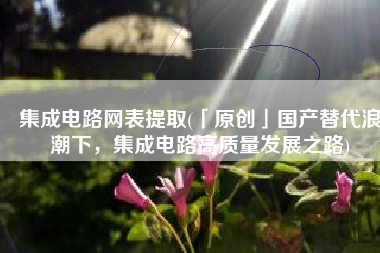 集成电路网表提取(「原创」国产替代浪潮下，集成电路高质量发展之路)