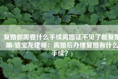 复婚都需要什么手续离婚证不见了能复婚嘛(骆宝龙律师：离婚后办理复婚有什么手续？)
