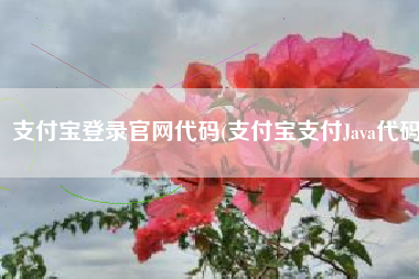 支付宝登录官网代码(支付宝支付Java代码)