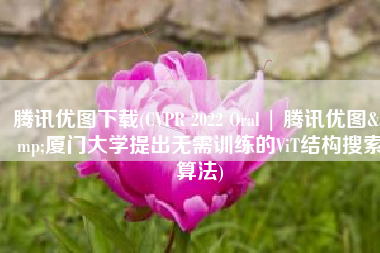 腾讯优图下载(CVPR 2022 Oral | 腾讯优图&厦门大学提出无需训练的ViT结构搜索算法)