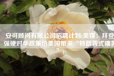 安可顾问有限公司招聘计划(美媒：拜登强硬对华政策给美国带来“特朗普式痛苦”)