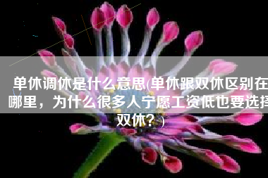 单休调休是什么意思(单休跟双休区别在哪里，为什么很多人宁愿工资低也要选择双休？)