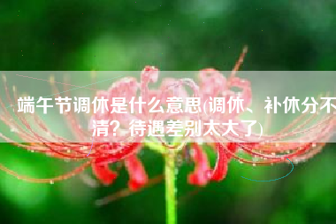 端午节调休是什么意思(调休、补休分不清？待遇差别太大了)