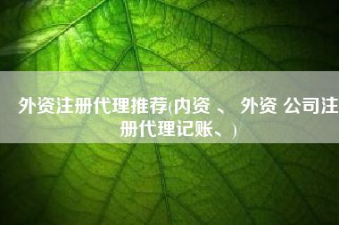 外资注册代理推荐(内资 、 外资 公司注册代理记账、)