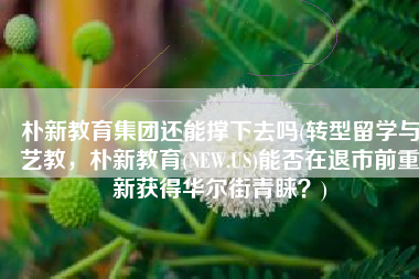 朴新教育集团还能撑下去吗(转型留学与艺教，朴新教育(NEW.US)能否在退市前重新获得华尔街青睐？)