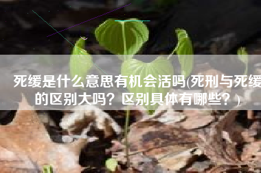 死缓是什么意思有机会活吗(死刑与死缓的区别大吗？区别具体有哪些？)