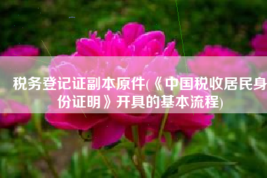 税务登记证副本原件(《中国税收居民身份证明》开具的基本流程)