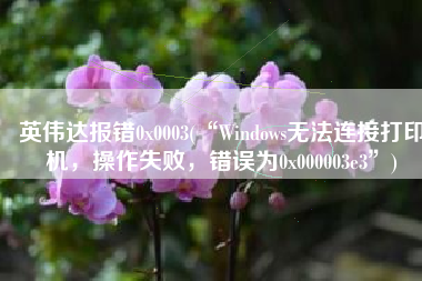 英伟达报错0x0003(“Windows无法连接打印机，操作失败，错误为0x000003e3”)