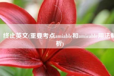 终止英文(重要考点amiable和amicable用法解析)