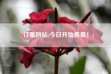 订票网站(今日开始售票！)