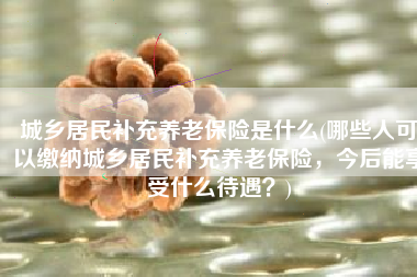 城乡居民补充养老保险是什么(哪些人可以缴纳城乡居民补充养老保险，今后能享受什么待遇？)