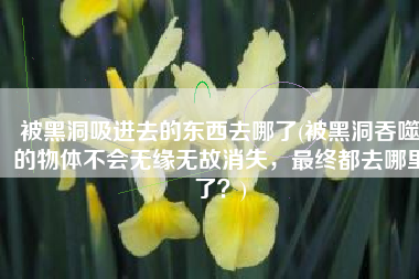 被黑洞吸进去的东西去哪了(被黑洞吞噬的物体不会无缘无故消失，最终都去哪里了？)