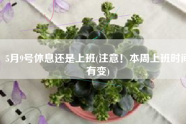 5月9号休息还是上班(注意！本周上班时间有变)