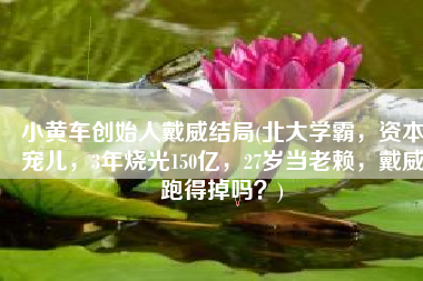 小黄车创始人戴威结局(北大学霸，资本宠儿，3年烧光150亿，27岁当老赖，戴威跑得掉吗？)