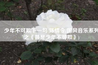 少年不可欺下一句(陈情令/国风音乐系列之《最是少年不可欺》)