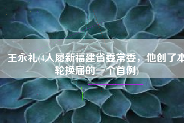 王永礼(4人履新福建省委常委，他创了本轮换届的一个首例)