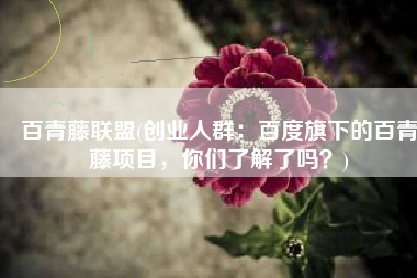 百青藤联盟(创业人群：百度旗下的百青藤项目，你们了解了吗？)