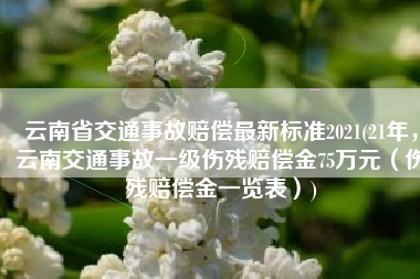 云南省交通事故赔偿最新标准2021(21年，云南交通事故一级伤残赔偿金75万元（伤残赔偿金一览表）)