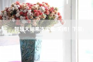 智慧大脑果冻宝盒(关闭！下架)
