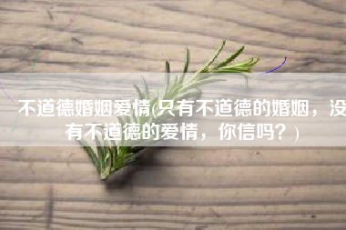 不道德婚姻爱情(只有不道德的婚姻，没有不道德的爱情，你信吗？)