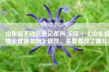 山东省不动产登记条例(关注 | 《山东省物业管理条例》修改，来看看改了哪儿)